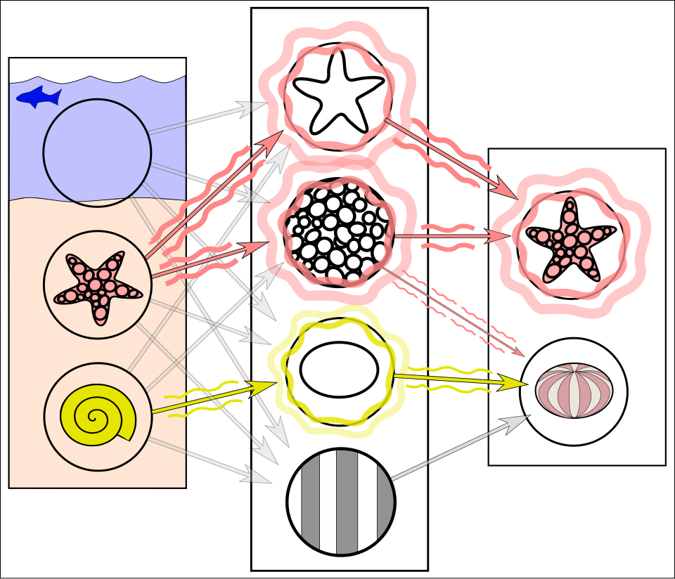 SimianX AI visualización de inteligencia emergente SimianX AI visualización de inteligencia emergente